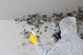 Best Biohazard Mold Removal  in Hughson, CA